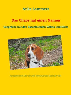 cover image of Das Chaos hat einen Namen